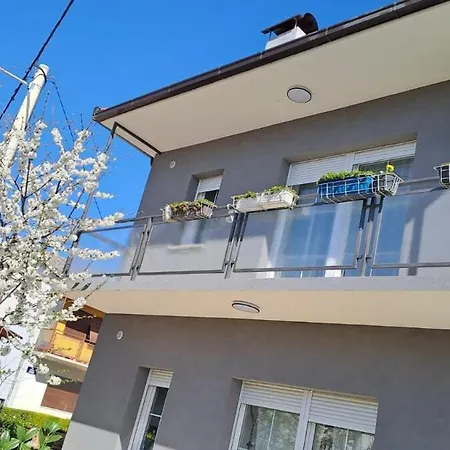 Misir In Downtown * Knin