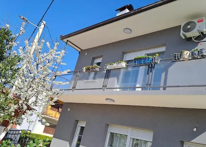 Misir In Downtown * Knin